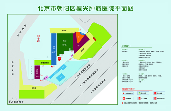 精品扣逼暗网北京市朝阳区桓兴肿瘤医院平面图